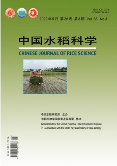 中国水稻科学